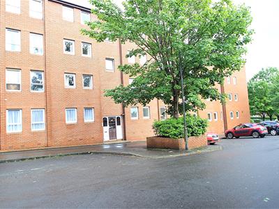 Picture 10